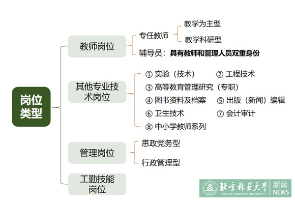 3岗位类型.jpg