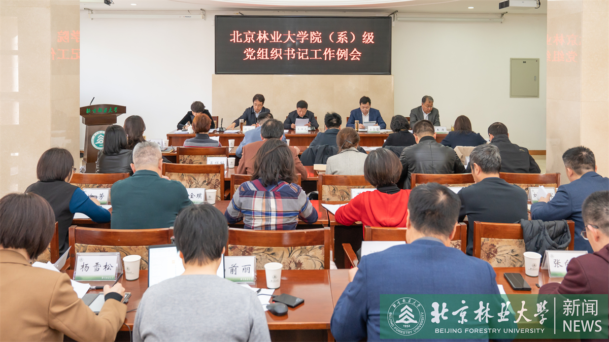 党组织书记例会-1.jpg