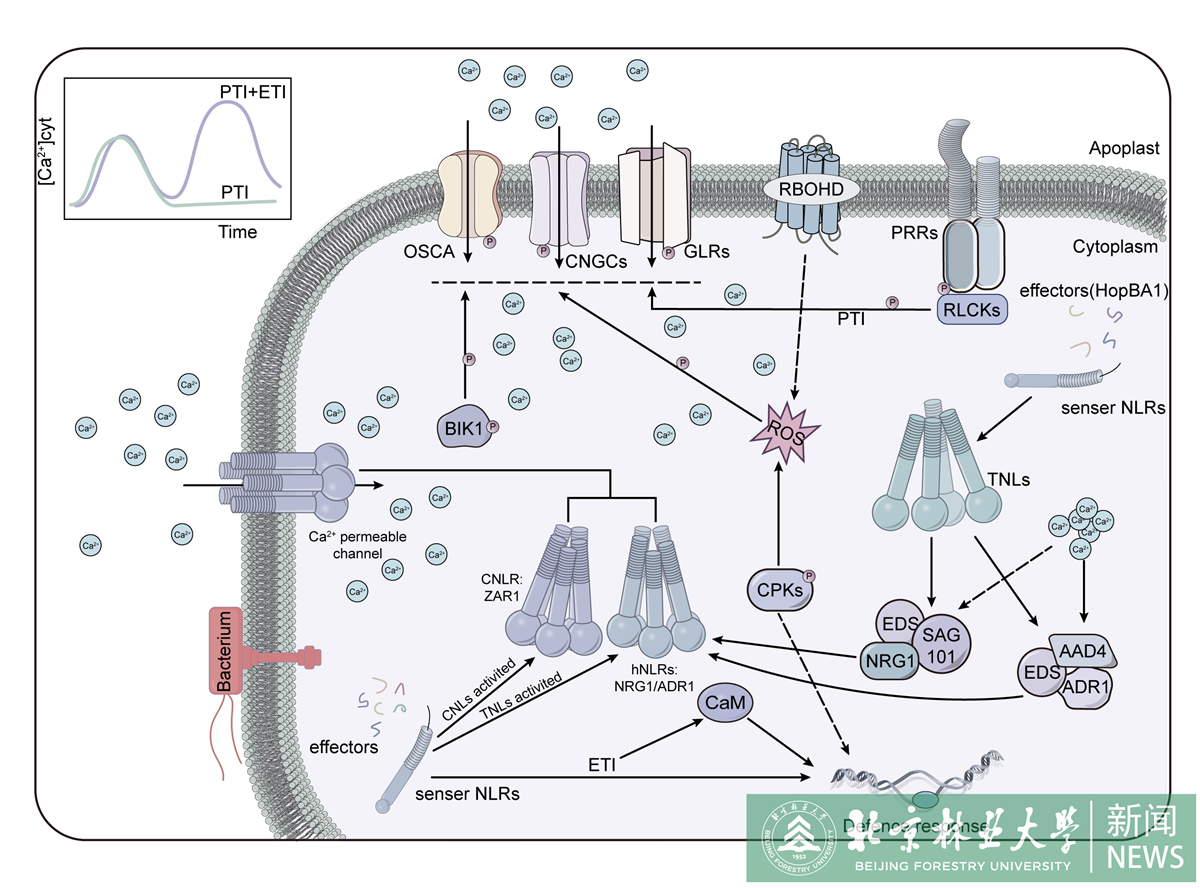 Figure 5.jpg