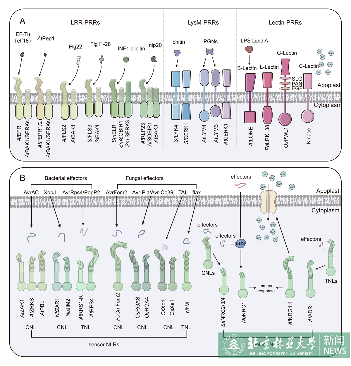 Figure 2.jpg