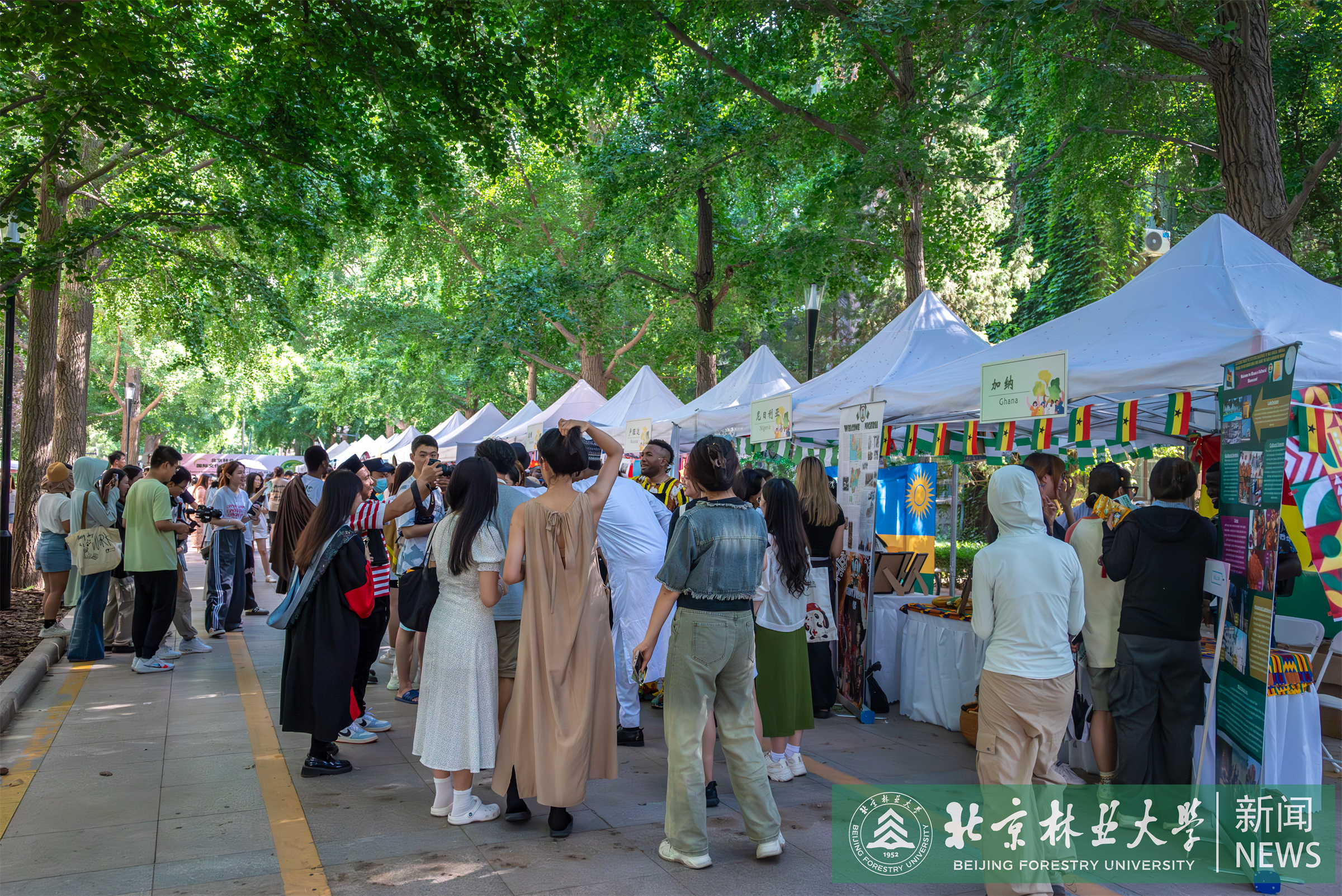 DSC_2496-已增强-降噪.jpg