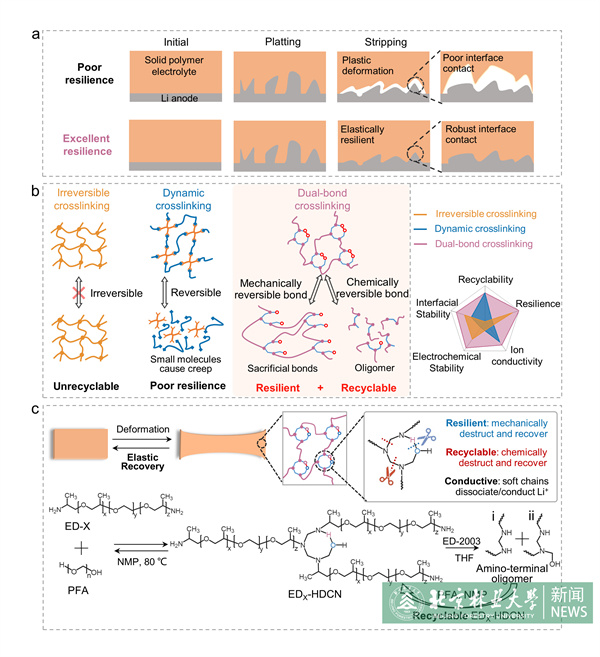 20240611材料学院青年教师在《Angew. Chem.》发表研究成果.jpg